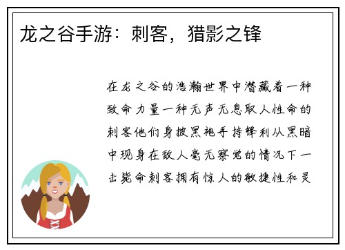 龙之谷手游：刺客，猎影之锋